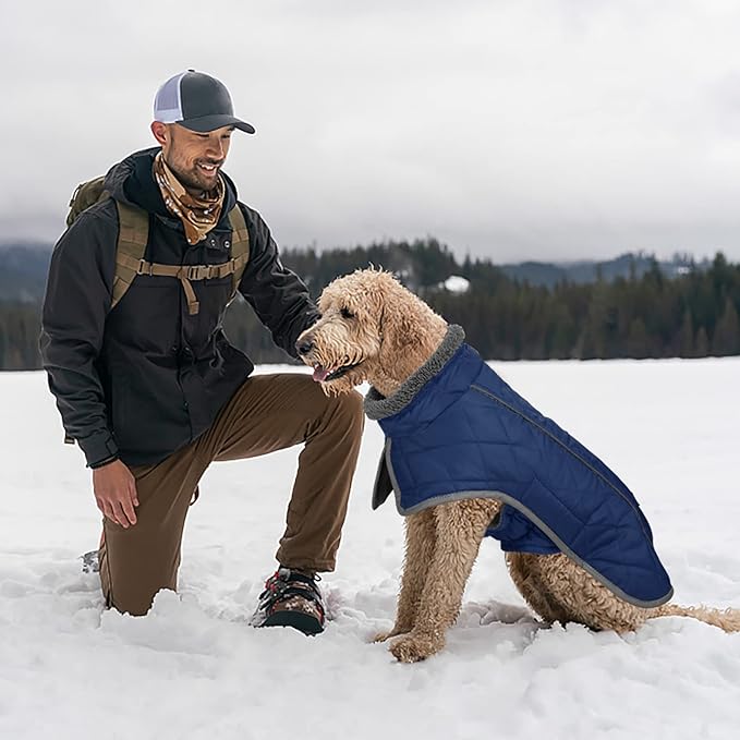 Fragralley Dog Coat Large, Waterproof Dog Jacket with Warm Fleece Lining, Adjustable Reflective Dogs Winter Coat, Turtleneck Pet Coats for Cold Weather (Blue L)