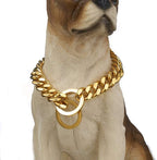 Dog Chain Collar Gold/Silver Stainless Steel 12mm Wide Cuban Curb Link Chain Dogs Necklace Walking Training Collars for Large Medium and Small Dogs 12-26 inches (Gold, 14inch)