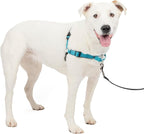PetSafe Easy Walk Deluxe Dog Harness, No Pull Dog Harness – Perfect for Leash & Harness Training – Stops Pets from Pulling and Choking on Walks – Medium/Large, Ocean