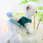 ANIAC Retro Dog Tulle Dress with Leash Ring Spring Summer Girl Puppy Clothes for Small Dog Cat Apparel Formal Pet Prom Dress for Christmas Wedding Birthday Valentines (Green,X-Large)