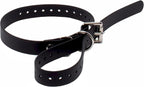Educator Biothane Dog Collar, Waterproof, Odorproof, Metal Buckle and D Ring, Adjustable for Custom Fit, Cool and Comfortable, for Small, Medium, or Large Dogs, 3/4-Inch, Black