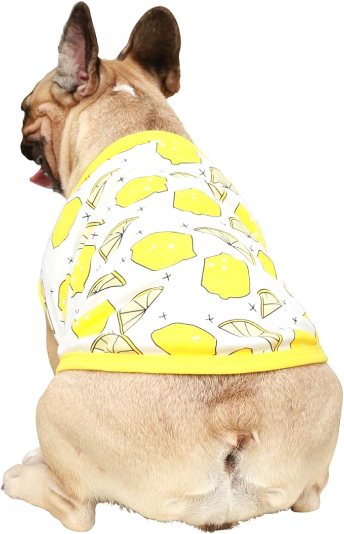 iChoue 100% Breathable Cotton English Bulldog Halloween Cartoon T Shirts Cute Clothes for Medium Large Dogs Vest Tank Tops Terrier Pitbull Lemon - XLarge