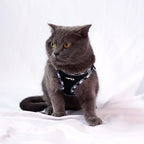 AMTOR Small Dog Harness with Leash Set, No Escape Easy Walk Puppy Harnesses for Training Walking, Step-in Reflective Soft Dogs Vest for XS S Medium Extra-Small Large Sized Dog(Black/GreyWhite,Small)