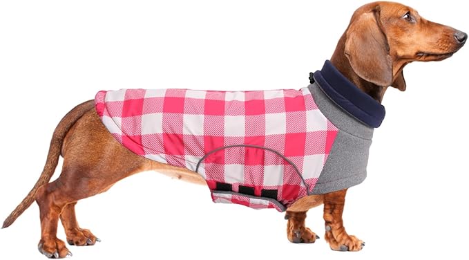 Dog Winter Coat,Dachshund Clothes,Waterproof Miniature Dachshund Jacket,Small Dogs Coat with Harness Hole,Doggie Jumper with Turtle Neck,Pet Dog Clothes British Style-Pink Plaid-L