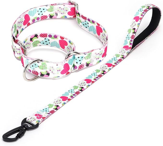 Martingale Collar and Leash Set, Premium No Slip Martingale Collar for Dogs Medium Large, Girl Dog Collars Training (NO11, L)