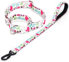 Martingale Collar and Leash Set, Premium No Slip Martingale Collar for Dogs Medium Large, Girl Dog Collars Training (NO11, L)