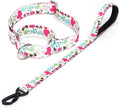 Martingale Collar and Leash Set, Premium No Slip Martingale Collar for Dogs Medium Large, Girl Dog Collars Training (NO11, M)