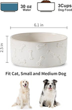 UBEE Ceramic Dog Bowl Set of 2, Dog Food Bowl Dish, Pet Food Water Dish Feeding for Small and Meidum Dogs and Large Cat, White, Bone Pattern, 6.1 in-Medium