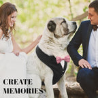 AVERYDAY Dog Tuxedo for Wedding Outfit, Dog Suit and Tie Costumes for Birthday, Halloween, Cosplay, Christmas Party, Pet Formal Wear with Bowtie, Tux for Medium Large Dogs, Bulldog, Labrador, Husky