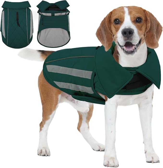 IECOii Warm Dog Coat - Reflective Waterproof Dogs Jackets Windproof Snow Jacket for for Deep Chest Breeds, Beagle & Corgi, Adjustable Warm Vest for Walking, Camping, Hiking, Green, Sizes L
