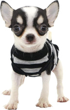 LOPHIPETS 100% Cotton Striped Dog Shirts for Small Dogs Chihuahua Puppy Clothes Tank Vest-Black and Gray Strips/S
