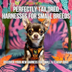 EcoBark Step in Dog Harness - Eco-Friendly Teacup Dog Harnesses for XXS, XS, and Small Dogs - Reflective and Adjustable Mini Body Halter Vest -Tiny Soft Mesh Harness Under 5 lbs (Leopard, XXXS)