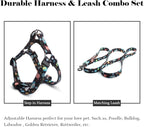 QQPETS Dog Harness Leash Set Adjustable Heavy Duty No Pull Halter Harnesses for Small Medium Large Breed Dogs Back Clip Anti-Twist Perfect for Walking (L(23"-32" Chest Girth), Space)