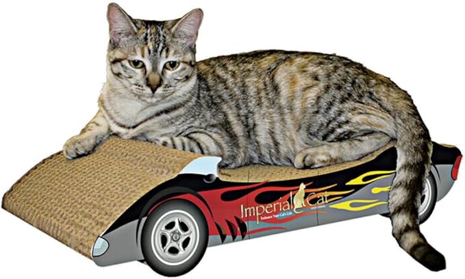 Racer Scratch 'n Shape, Black