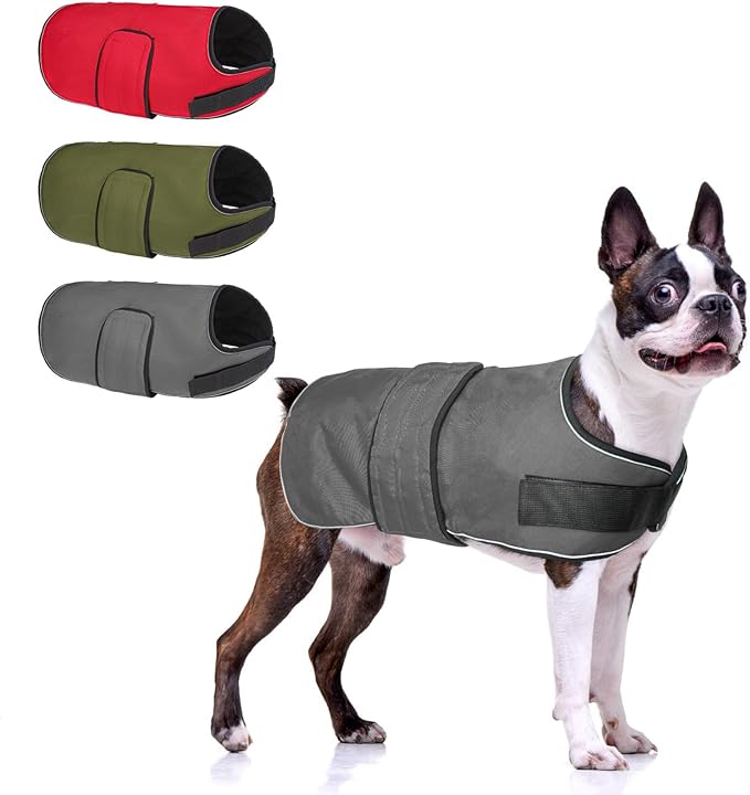 BEAUTYZOO Dog Winter Coat for Medium Dogs Waterproof, Warm Reflective Great Dane Oxford Canvas Jacket, Fleece Dog Cold Weather Coats Windproof for Female Male Dogs, Grey M