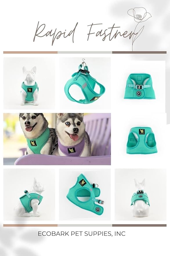 EcoBark Teacup Dog Harness - Luxury Step in Mesh Dog Harnesses in Mint Turquoise