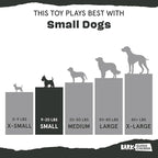 Barkbox Munchie The Bear Dog Toy for Treat Dispensing and Bouncing for Dogs up to 20 lbs, Small