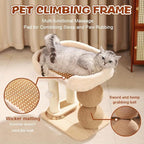 3-in-1 Small Cat Tree Tower, Small Cat Tower and Perch Bed, 16.5Inch Tall Cat Tree with 3 Sisal Scratching Posts and Ball Track Toy for Kittens and Indoor Cats
