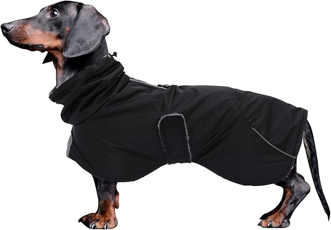 Dachshund Coats Waterproof, Perfect for Dachshunds, Sausage, Weiner Dog Winter Coat with Padded Fleece, Puppy Snowsuit with Adjustable Bands and High Vis Reflective Trim - Black - S