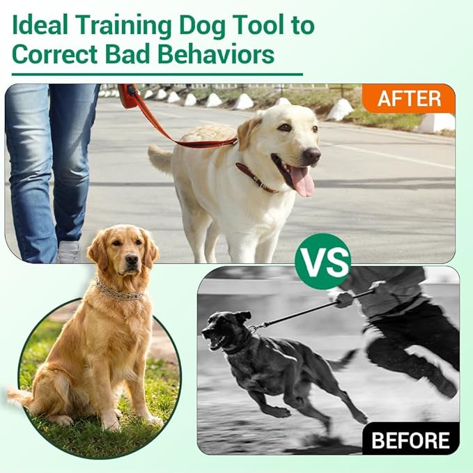 No Pull Prong Dog Collar,Adjustable Dog Pinch Training Chain Collar with Comfort Rubber Tips for Training Guidance Small Medium Large Dogs (L)
