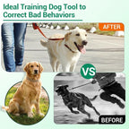 No Pull Prong Dog Collar,Adjustable Dog Pinch Training Chain Collar with Comfort Rubber Tips for Training Guidance Small Medium Large Dogs (L)