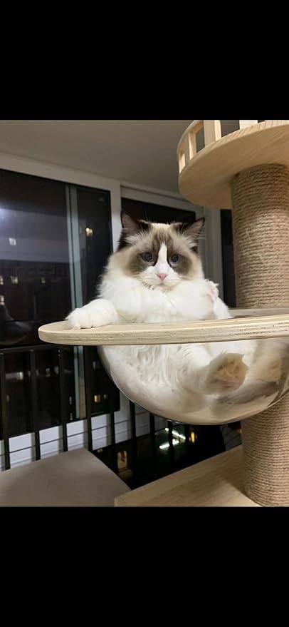 Transparent Space Capsule Dome Cat Bed for Floot to Ceiling Cat Tree Parts, Dia 11.8 Inches
