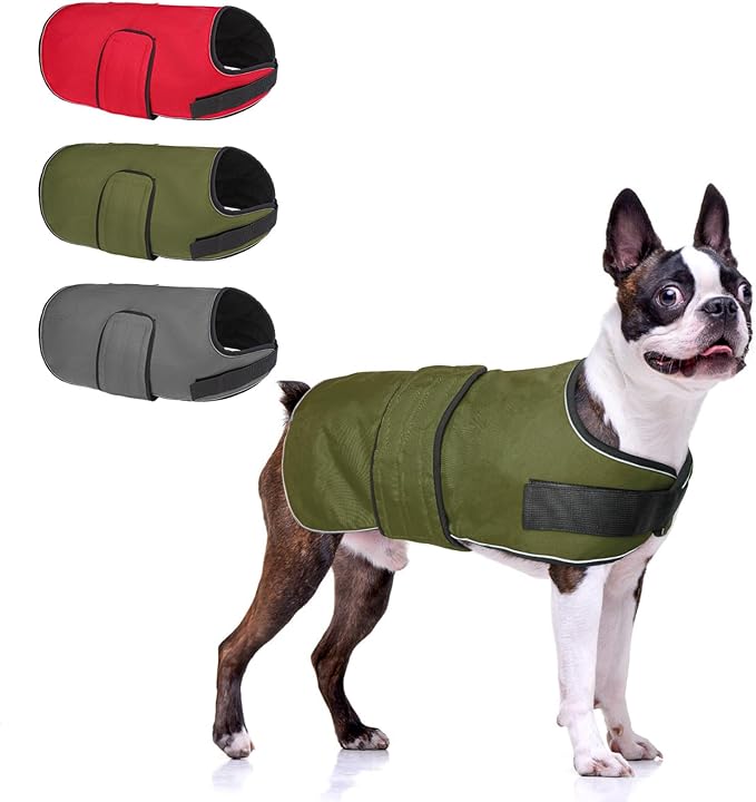 BEAUTYZOO Dog Winter Coat for Medium Dogs Waterproof, Warm Reflective Great Dane Oxford Canvas Jacket, Fleece Dog Cold Weather Coats Windproof for Female Male Dogs, Green M