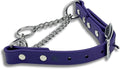 Martingale Collar for Dogs, Biothane, Stainless Steel Hardware, No Pull, Made in The USA, Professional Grade, XXS, Purple
