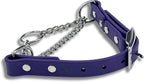 Martingale Collar for Dogs, Biothane, Stainless Steel Hardware, No Pull, Made in The USA, Professional Grade, XXS, Purple