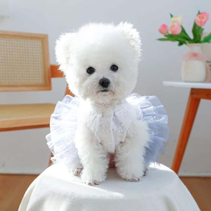 Furbabycare® Elegant Sweet Fashion Puppy Dog Blingbling Princess Skirt Pet Dog Lace Cake Camisole Tutu Dress K-1-andromeda Medium