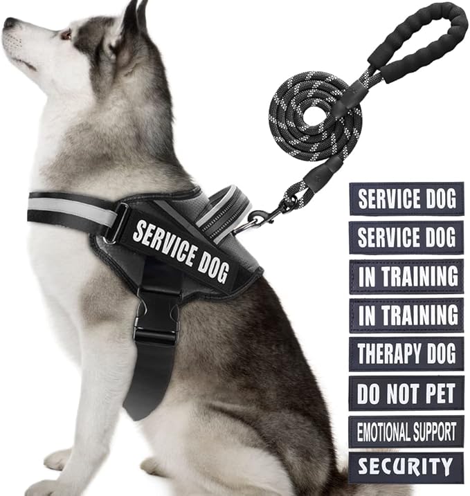 Service Dog Vest Harness and Leash Set, Animire in Training Dog Harness with 10 Dog Patches, Reflective Dog Leash with Soft Padded Handle for Small, Medium, Large, and Extra-Large Dogs (Black,XL)