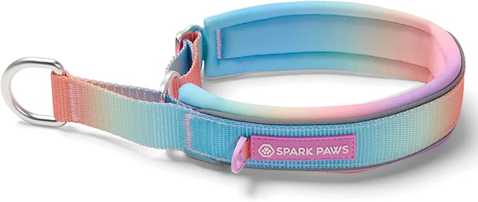 Spark Paws Martingale Dog Collar – Cushioned Slip-On Training Collar, Heavy Duty, Safety-Tested No-Buckle Collar for Medium & Large Dogs - Pastel Icing - E