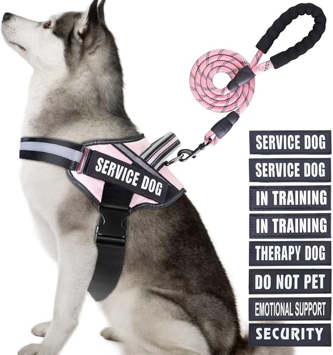 Service Dog Vest Harness and Leash Set, Animire in Training Dog Harness with 10 Dog Patches, Reflective Dog Leash with Soft Padded Handle for Small, Medium, Large, and Extra-Large Dogs