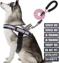 Service Dog Vest Harness and Leash Set, Animire in Training Dog Harness with 10 Dog Patches, Reflective Dog Leash with Soft Padded Handle for Small, Medium, Large, and Extra-Large Dogs