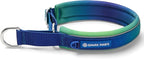 Spark Paws Martingale Dog Collar – Cushioned Slip-On Training Collar, Heavy Duty, Safety-Tested No-Buckle Collar for Medium & Large Dogs - Lime Wave - D