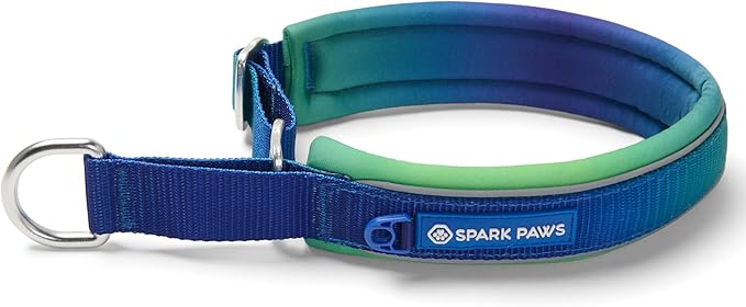 Spark Paws Martingale Dog Collar – Cushioned Slip-On Training Collar, Heavy Duty, Safety-Tested No-Buckle Collar for Medium & Large Dogs - Lime Wave - C