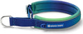 Spark Paws Martingale Dog Collar – Cushioned Slip-On Training Collar, Heavy Duty, Safety-Tested No-Buckle Collar for Medium & Large Dogs - Lime Wave - C