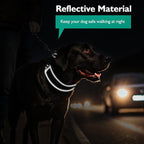 Mayerzon 2 Inch Wide Martingale Collar for Large Dogs, Patented No Pull Walking Training Dog Collar for Pitbull German Shepherd, with Buckle, Reflective Stitching, Neoprene Layer, Adjustable(Teal, L)