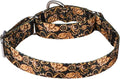 Serijoars Adjustable Martingale Dog Collar Heavy Duty Nylon Dog Collar for Medium Large Dogs Walking Training Boy and Girl Dogs (M, Gold)