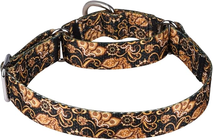 Serijoars Adjustable Martingale Dog Collar Heavy Duty Nylon Dog Collar for Medium Large Dogs Walking Training Boy and Girl Dogs (M, Gold)