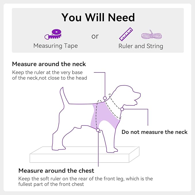 Joytale Small Dog Harness, Breathable Mesh Step-in Vest, Reflective Soft Padded Harnesses for Medium Dogs, Purple, XL