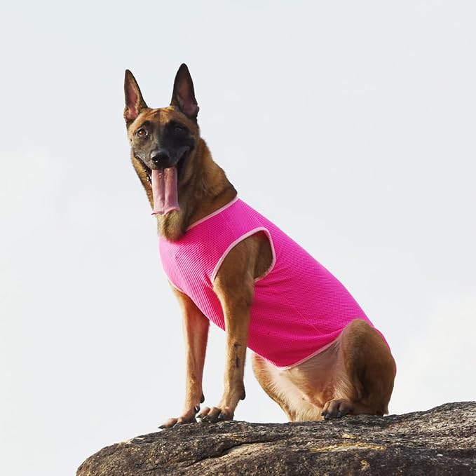 2 Pack Cooling Shirts for Dogs, Lightweight Mesh Breathable Dog Shirt for Small Dogs Girl,Sun-Protection Sleeveless Shirts for Dog&Cat Puppy Vest Pet Apparel P23ST00601L