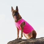 2 Pack Cooling Shirts for Dogs, Lightweight Mesh Breathable Dog Shirt for Small Medium Dogs Girl,Sun-Protection Sleeveless Shirts for Dog&Cat Puppy Vest Pet Apparel P23ST00601XL