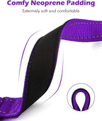Martingale Collar for Dogs with Quick Release Buckle, Reflective Soft Padded & Escape Proof, Adjustable Nylon Dog Collars for Training & Daily Walking (Purple,XS)