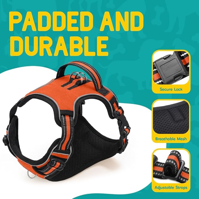 No Pull Dog Harness and Leash Set for Small Dogs – Adjustable Reflective Breathable Soft Padded Easy Control Dog Harness for Training & Walking, Orange (Small)