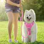 BARKBAY Dog Harness No Pull Oxford with ID Tag Pocket - Heavy Duty, Reflective, Easy Control for Large Dogs(Pink Oxford,XS)