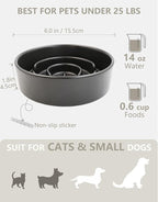 Ceramic Slow Feeder Dog Bowls, 0.6 Cup Slow Feeder for Small Dogs, Puzzle Maze Bowl, Prevents Choking, 6in, Black