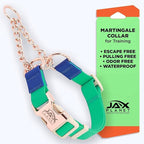 Jelly Waterproof Martingale Dog Collar, No Pull Nylon Collar with Alloy Metal Buckle & D-Ring for Outdoor Training and Walking, Anti Pull, Escape Free, One Time Adjustment - Turquoise & Blue, XL