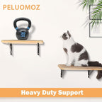 2PCS Cat Wall Shelves with Scratching Mat, 16.6x9.7 Inch Cats Wall Furniture, Solid Pine Wood Kitten Wall Mounted Floating Shelf, Window Perch Hammock for Pets Sleeping, Playing, Climbing