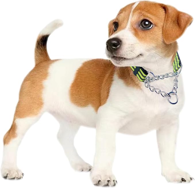 Martingale Collars for Dogs, Heavy Duty Stainless Steel Chain Training Collar, Reflective Nylon Adjustable Collar with Quick Release Buckle, Suitable for Puppy Medium Large Dogs (Green, L)